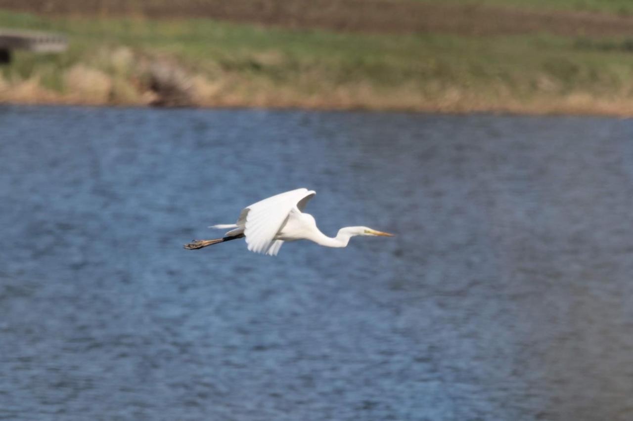 Nature Center Udoli Volavek II Weseritz エクステリア 写真